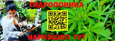 шишки Волгодонск